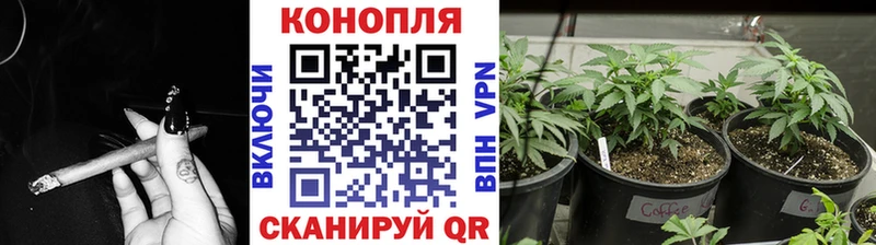 Конопля тримм  купить  сайты  Светлый 